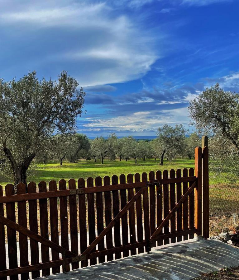 Agriturismo Podere Campalto Campiglia Marittima Exterior foto