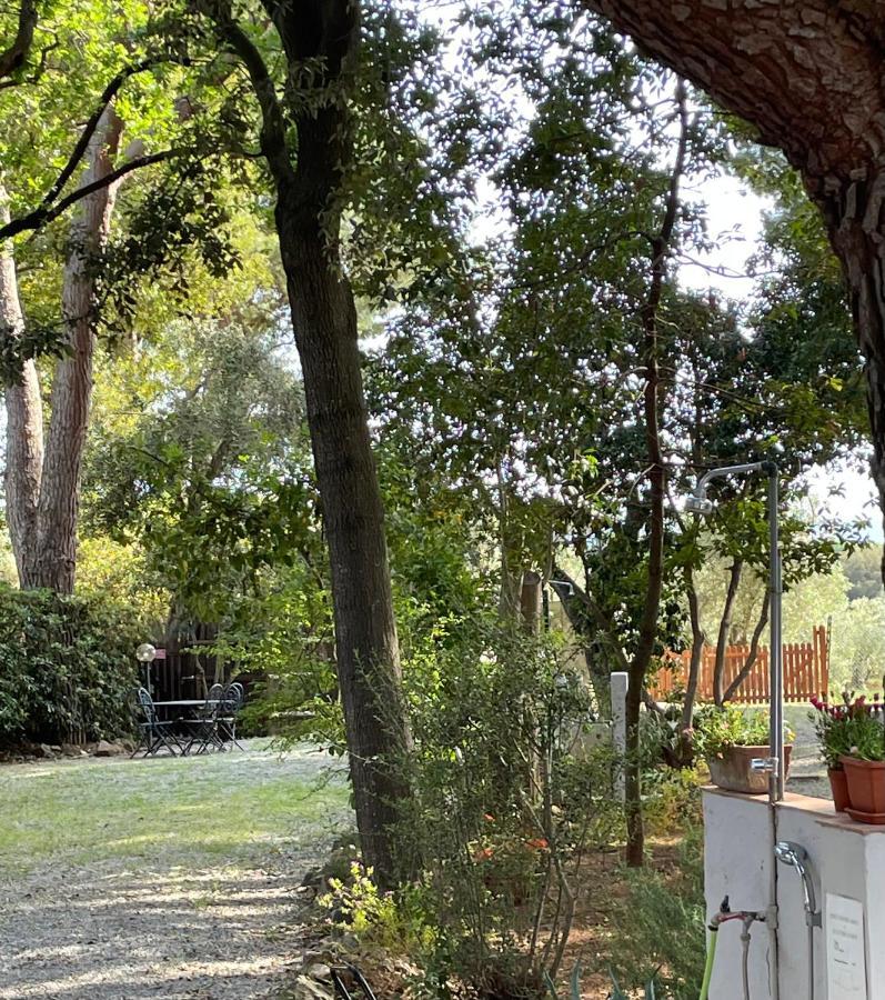 Agriturismo Podere Campalto Campiglia Marittima Exterior foto