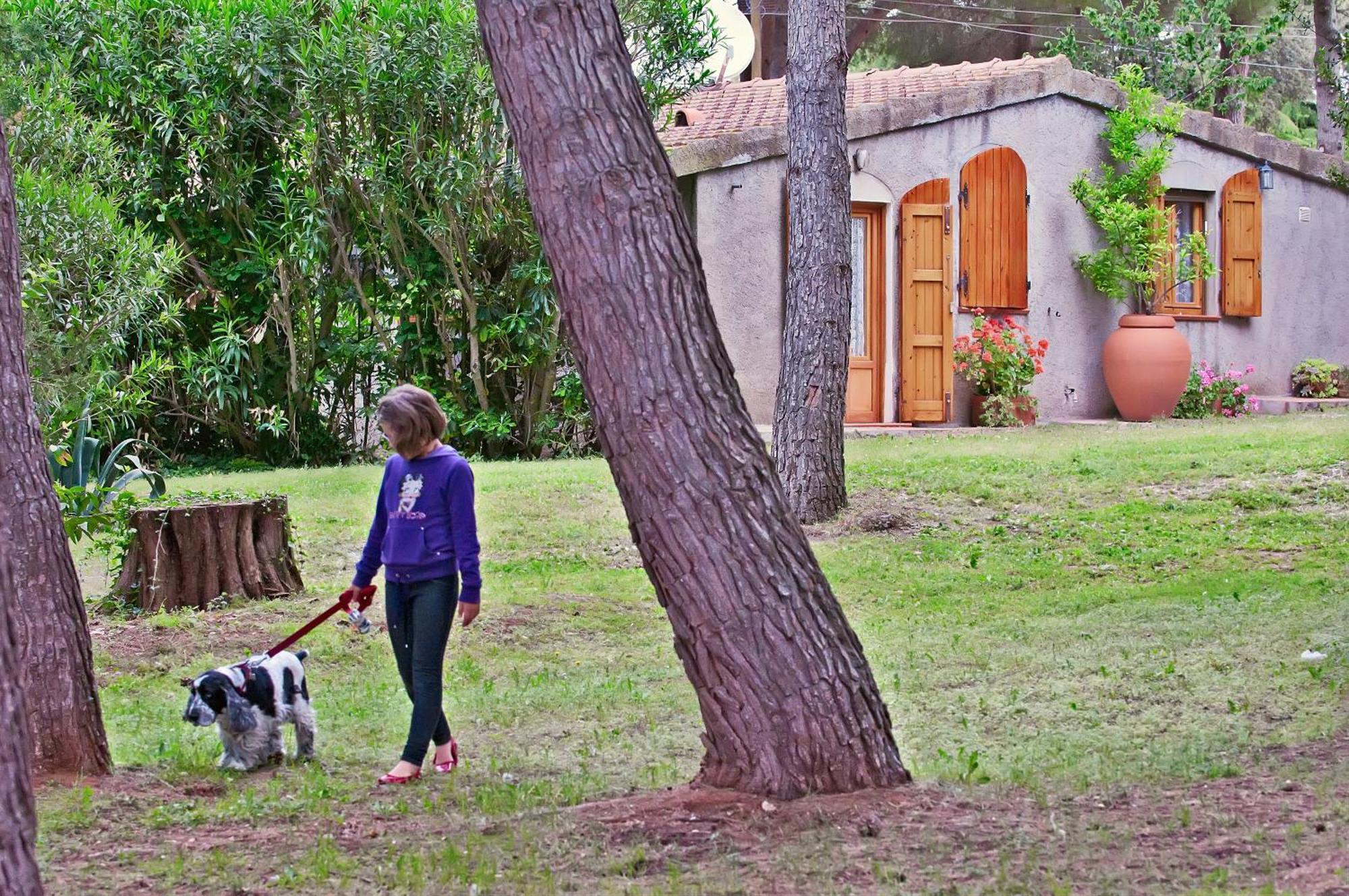 Agriturismo Podere Campalto Campiglia Marittima Cameră foto