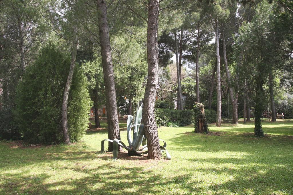 Agriturismo Podere Campalto Campiglia Marittima Exterior foto