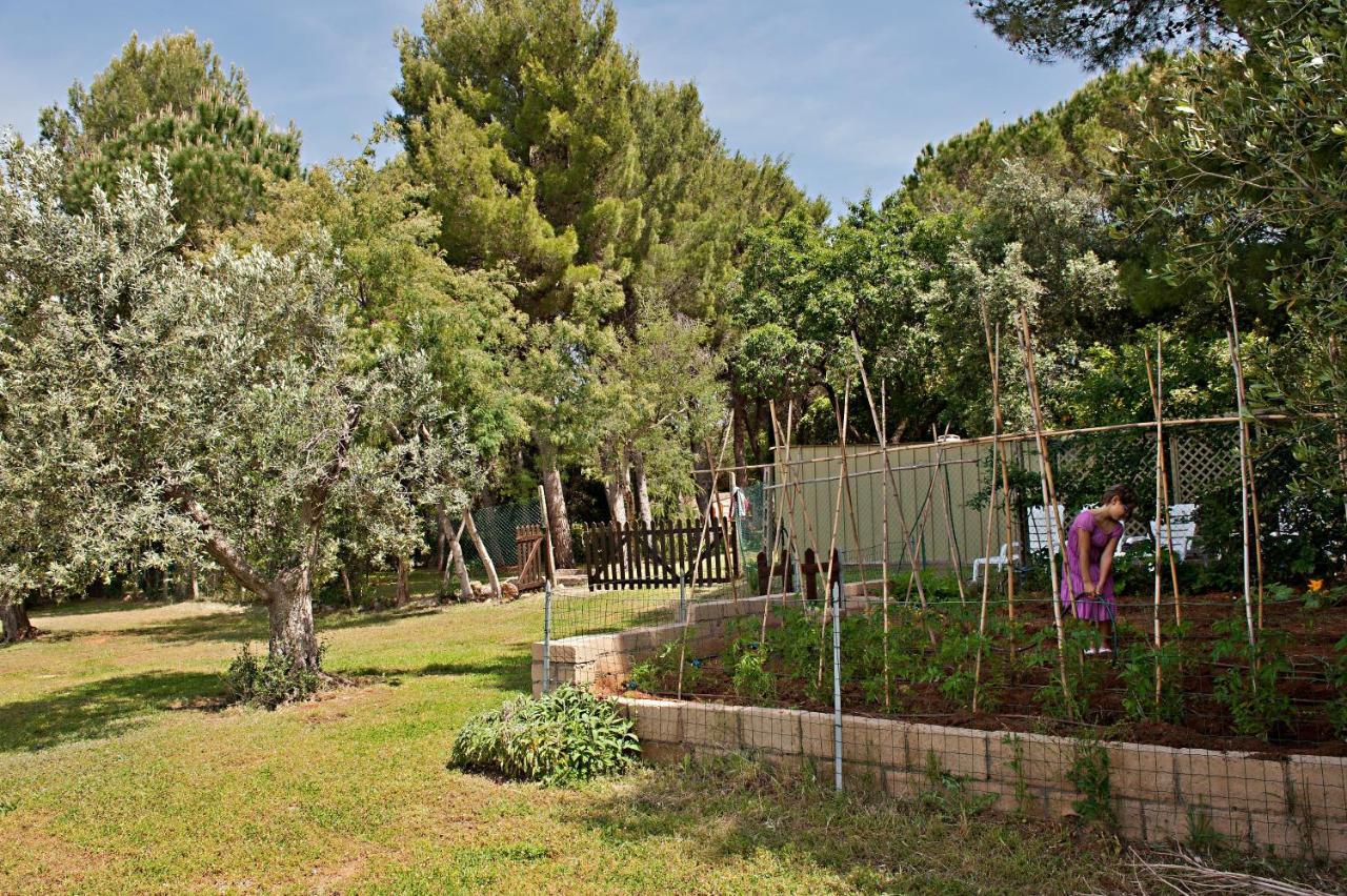 Agriturismo Podere Campalto Campiglia Marittima Exterior foto